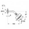 Лейка для верхнего душа с держателем Grohe New Tempesta Cosmopolitan 100 26090001 58779